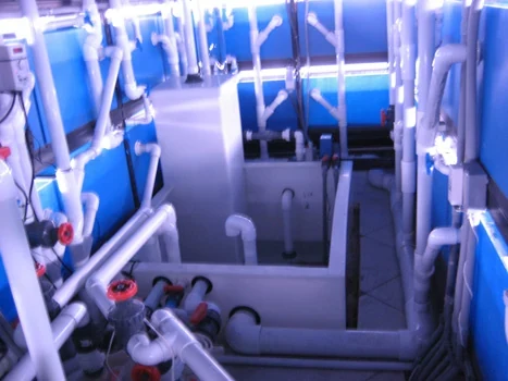 Aquarium equipment room with pipes, valves, blue tanks, and service equipment