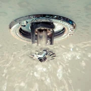 A ceiling-mounted fire sprinkler head discharging water