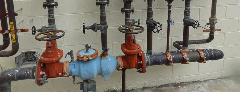 Building water-service piping with a blue meter assembly and red isolation valves